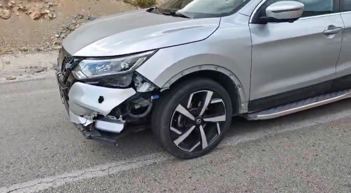 yola aniden firlayan yaban kecisi telef oldu 0