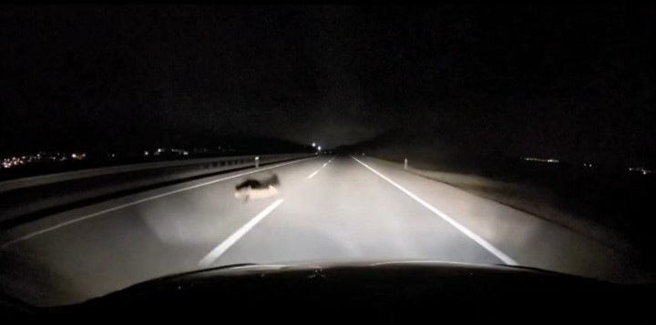 yola atlayan tilkiye arac carpti 2 6cmNqBnc