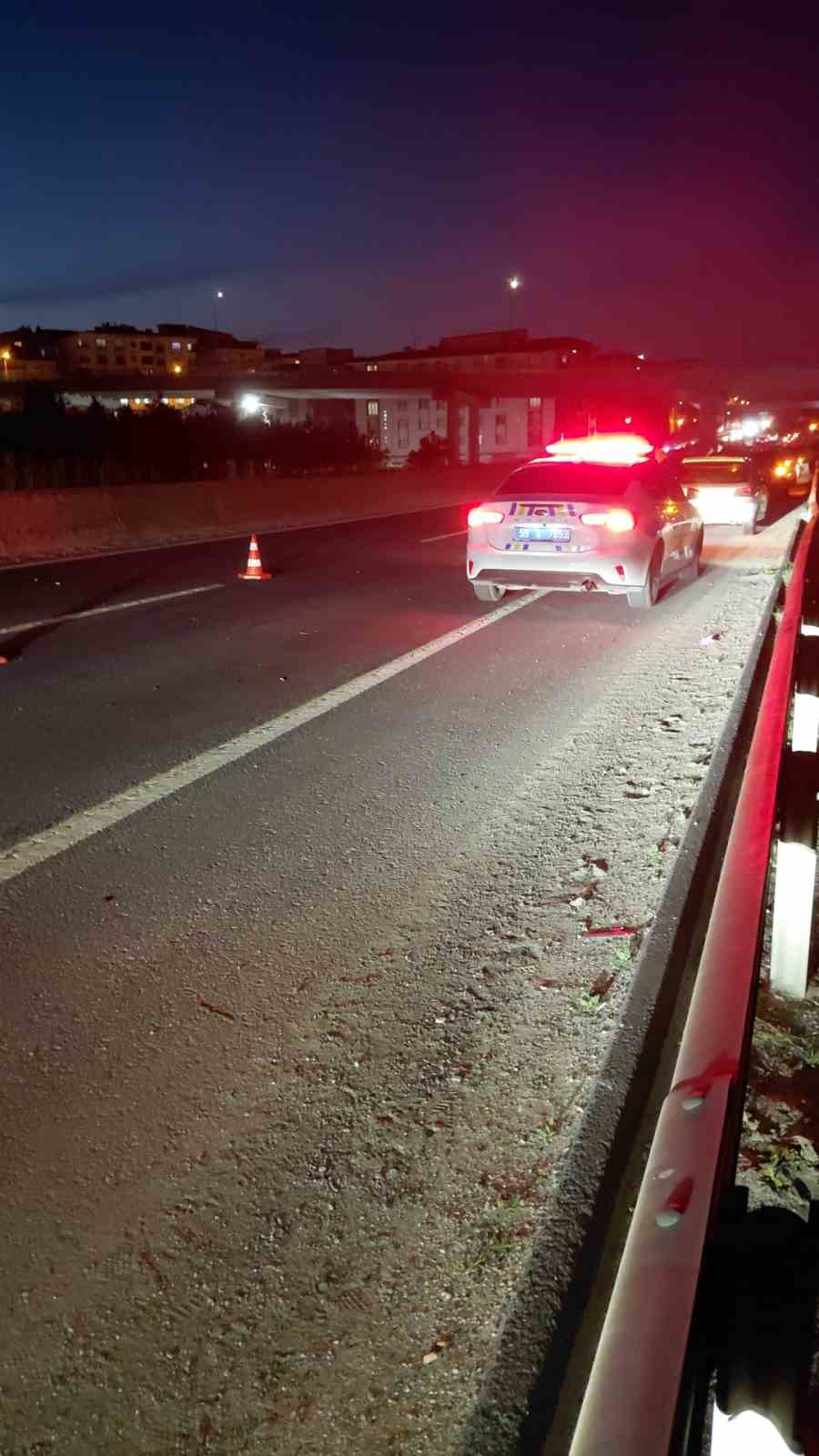 yola cikan atlar zincirleme kazaya neden oldu 0