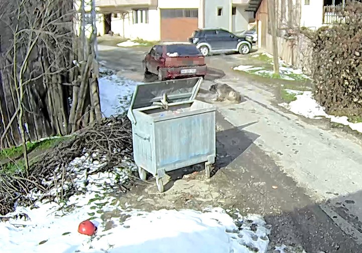 yolda yatan kopegi ezip yoluna devam etti 2 qVtmlLNP