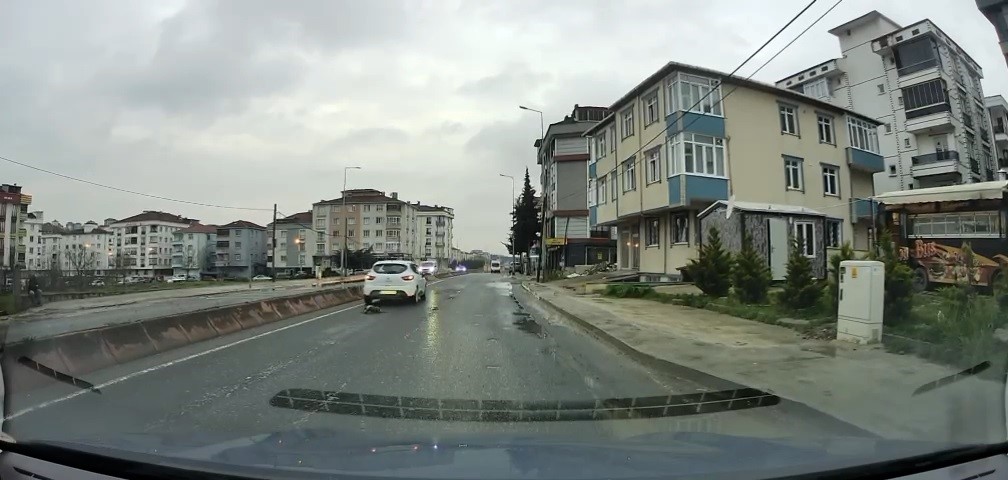 yoldan gecerken arabanin altinda kalan kedi kosarak kacti o anlar arac kamerasina saniye saniye e2u2yFBg