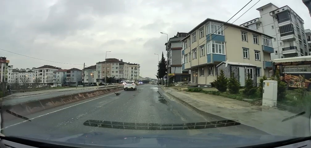 yoldan gecerken arabanin altinda kalan kedi kosarak kacti o anlar arac kamerasina saniye saniye pAMG8Wyj