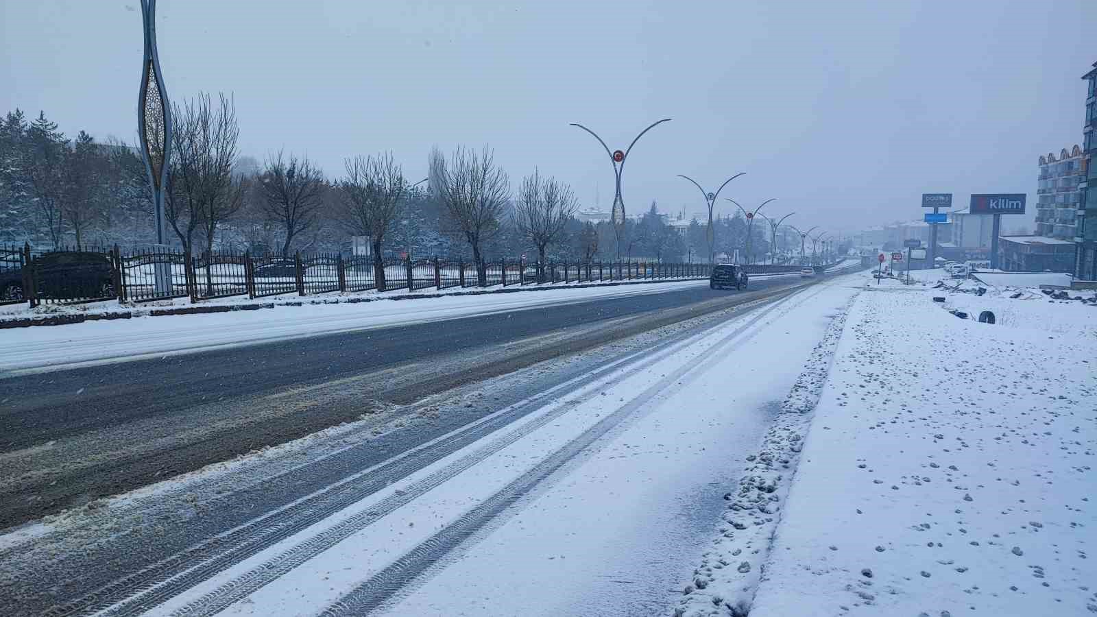 yozgat beyaza burundu 2