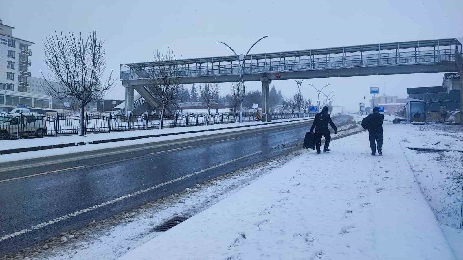 yozgat beyaza burundu 5 DPMIRlpb