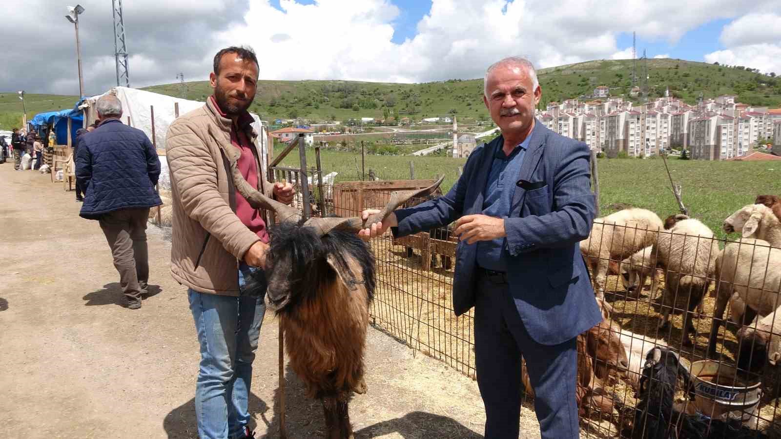 yozgat hayvan pazarinda kurbanliklar alicisini bekliyor 1 XhG3GtOe
