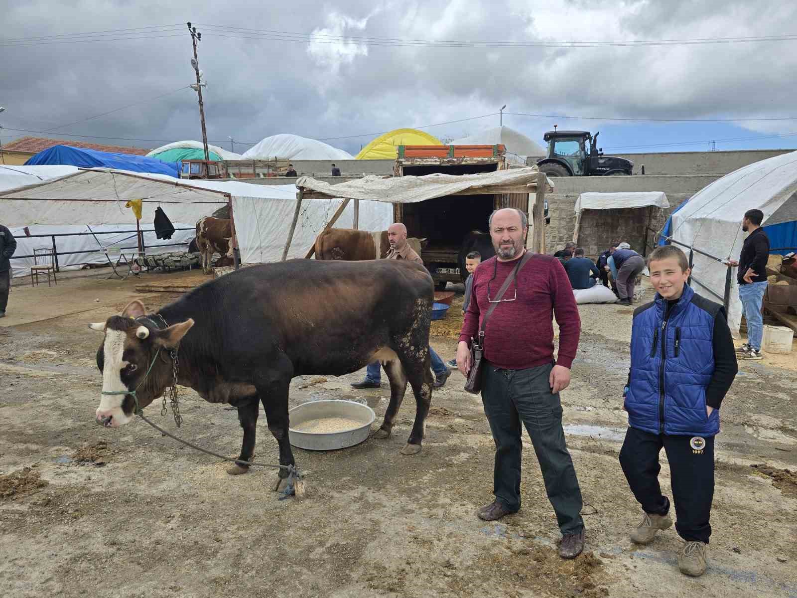 yozgat hayvan pazarinda kurbanliklar alicisini bekliyor 3 58E4IwuV