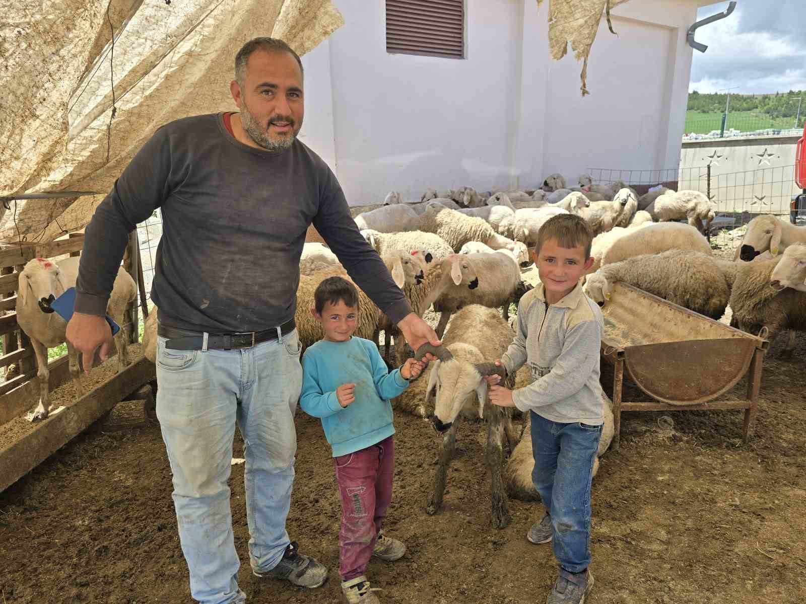 yozgat hayvan pazarinda kurbanliklar alicisini bekliyor 5 AtEf3W5E