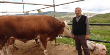 yozgat-hayvan-pazarinda-kurbanliklar-alicisini-bekliyor-a6jWbtyU.jpg