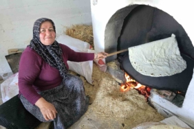 Sembol caminin 6 asırlık çınarı yıldırımlara rağmen ayakta 1 thumbnail