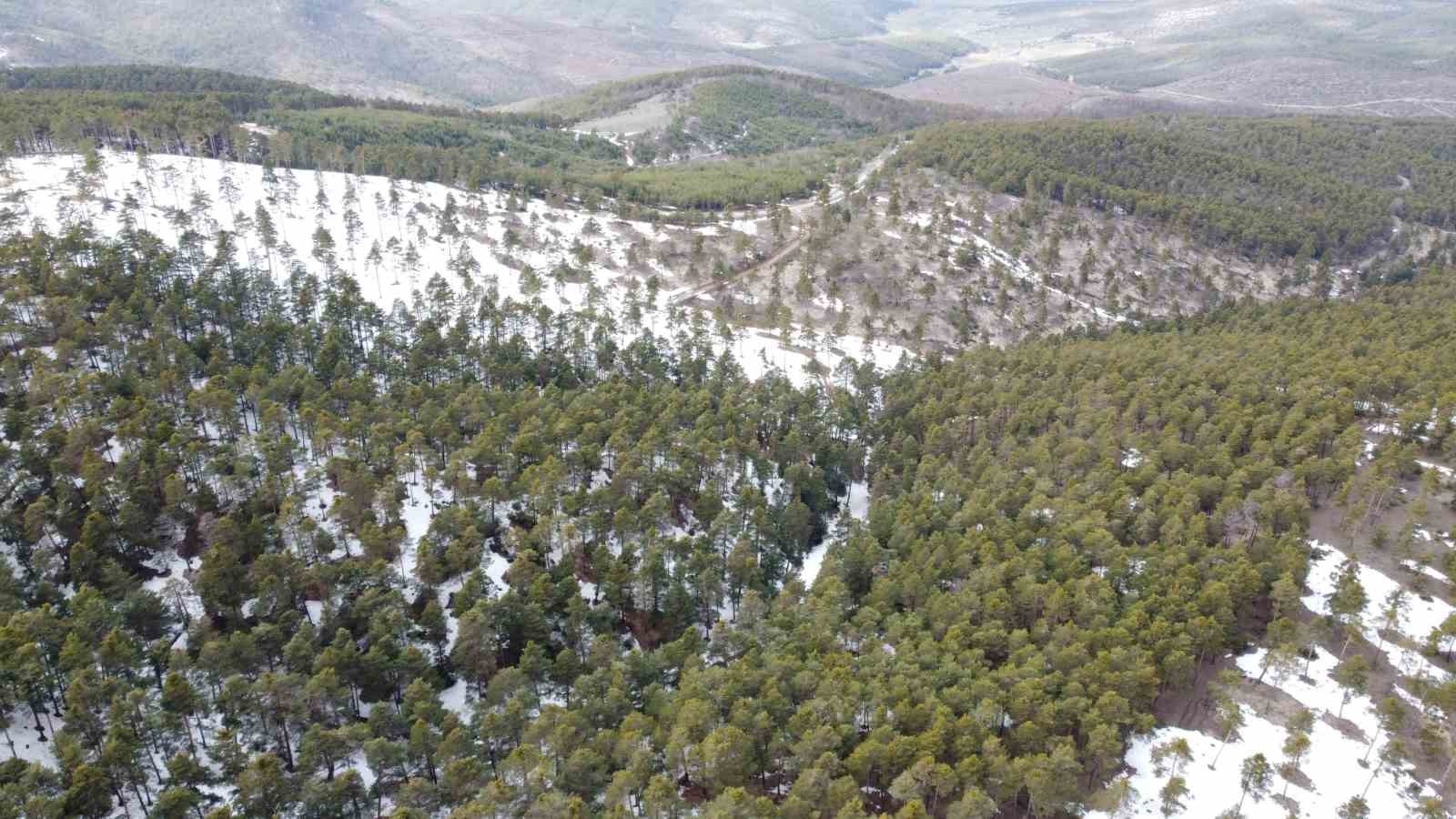 yozgatin yukseklerinde kis ve bahar bir arada yasaniyor 6 A1AGTyjD
