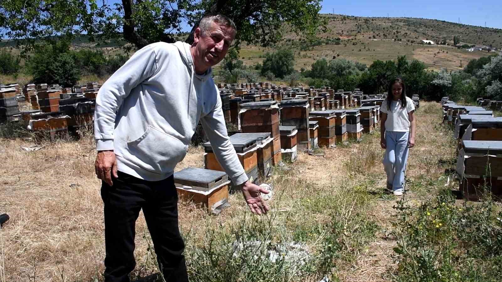 yozgatin zengin bitki ortusu aricilara umut oldu 1 F66Dfpyq