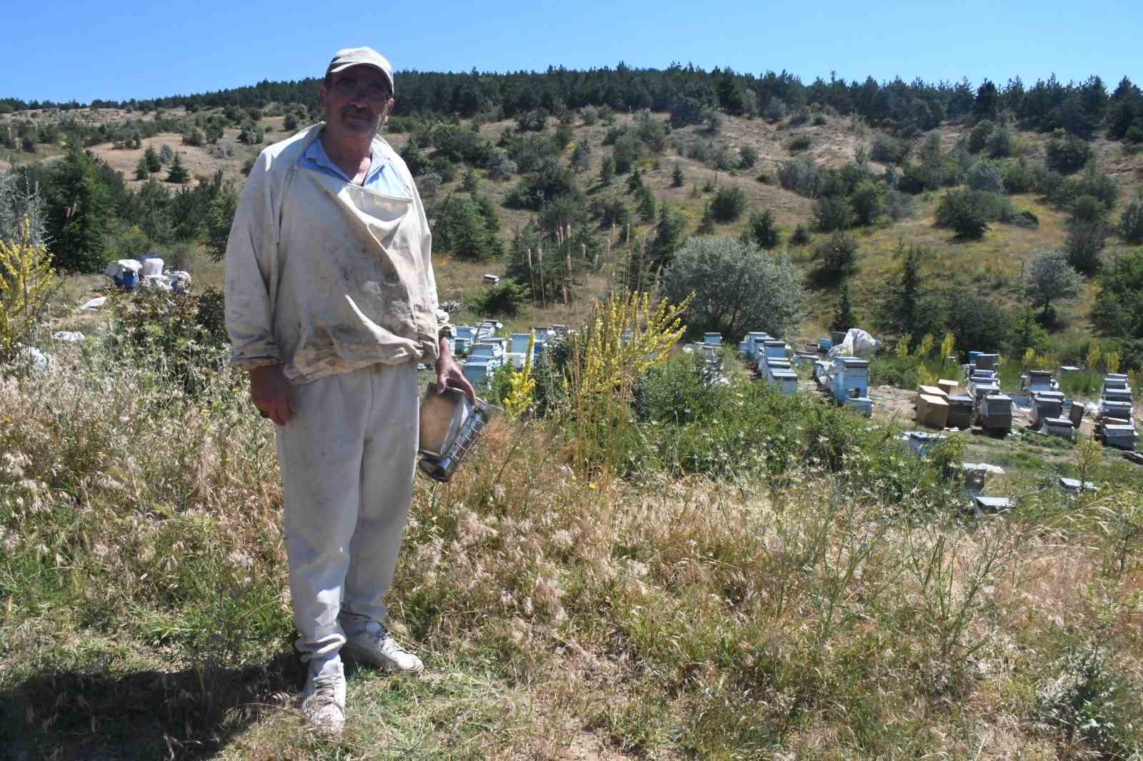 yozgatin zengin bitki ortusu aricilara umut oldu 2 s3s5IGEA