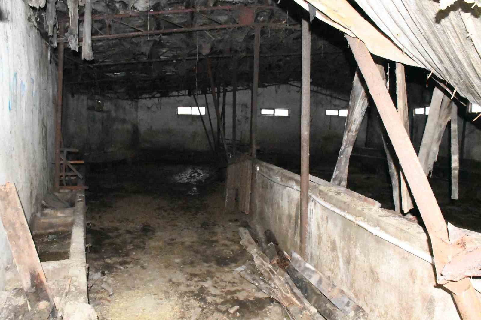 yozgatta ahir coktu hayvanlar afadin yardimiyla kurtarildi 1 w2DkaLSJ