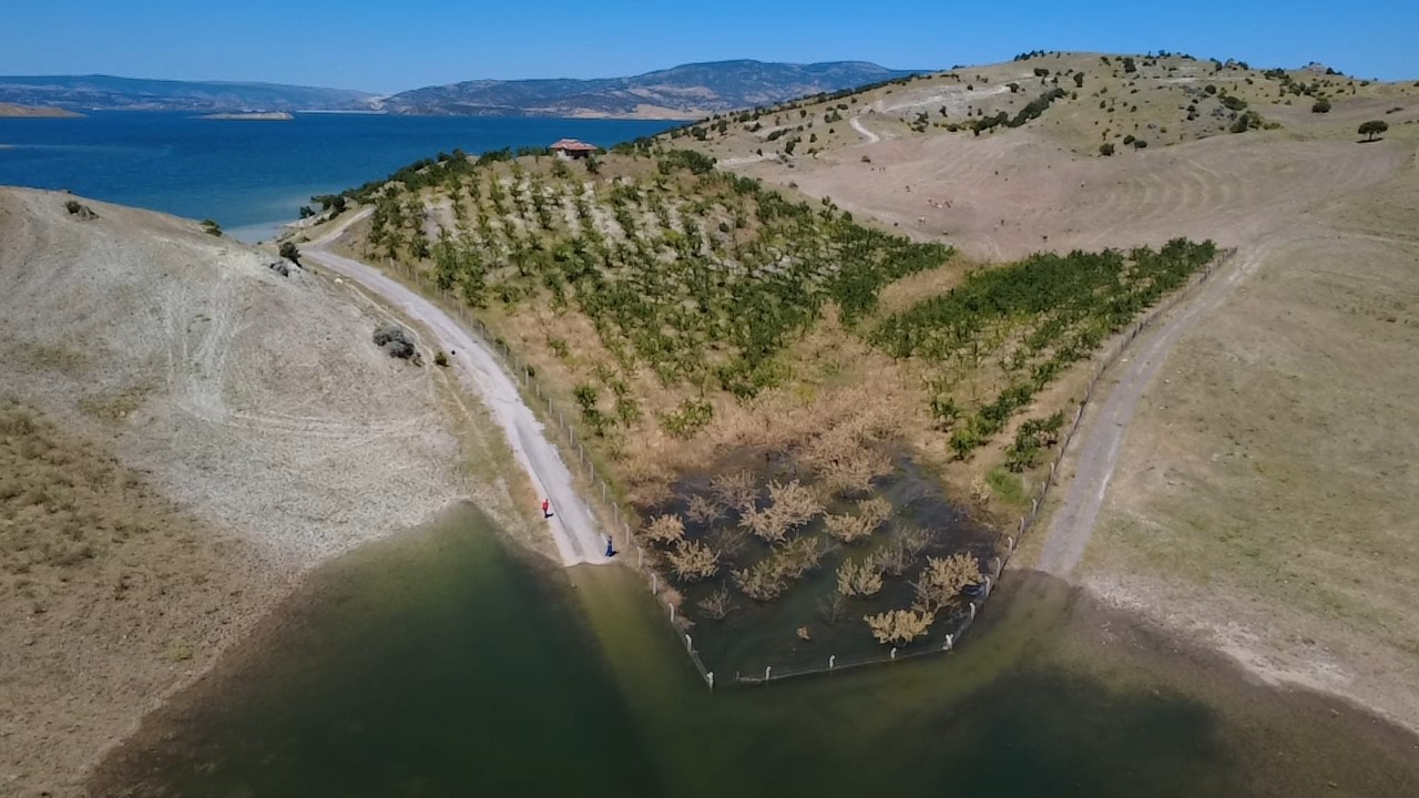 Yozgat’ta badem ağaçları sular altında kaldı 5 yozgatta badem agaclari sular altinda kaldi 1 ahqB6aKR