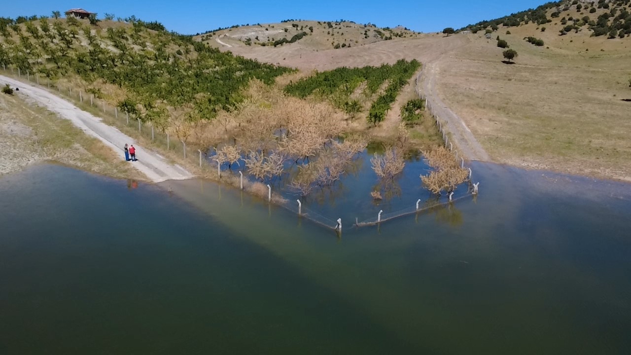 Yozgat’ta badem ağaçları sular altında kaldı 6 yozgatta badem agaclari sular altinda kaldi 2 UMphyQcF