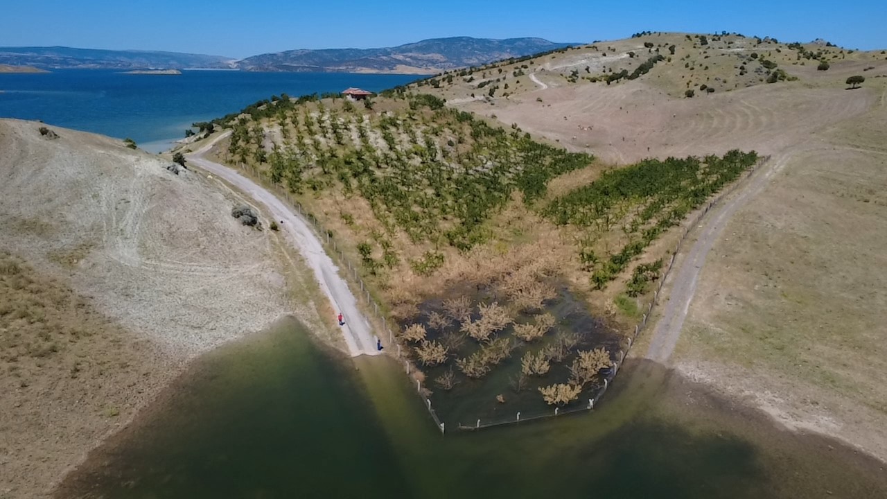 Yozgat’ta badem ağaçları sular altında kaldı 7 yozgatta badem agaclari sular altinda kaldi 3 pBX1NaGN