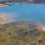 yozgatta-badem-agaclari-sular-altinda-kaldi-CVT75kBv.jpg