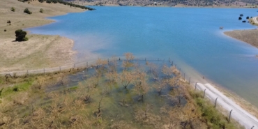 yozgatta-badem-agaclari-sular-altinda-kaldi-CVT75kBv.jpg