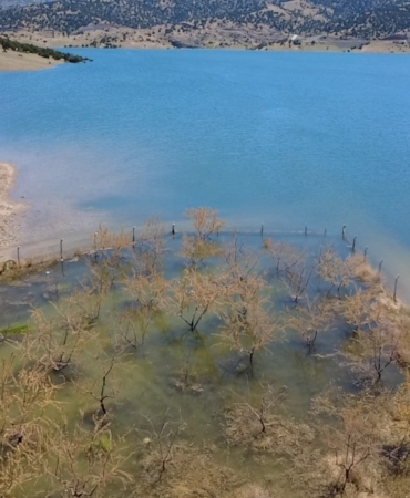yozgatta-badem-agaclari-sular-altinda-kaldi-CVT75kBv.jpg