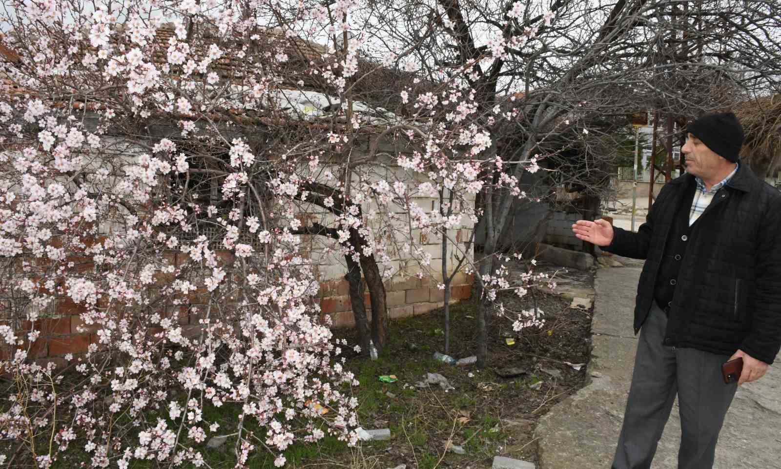 yozgatta mart ayinda bahar tablosu 3 j5Z4sdpv