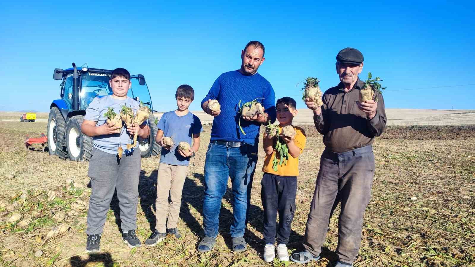 yozgatta pancar mesaisi suruyor 6 aylik emegin urunleri yuzleri gulduruyor 0 81p37MvN