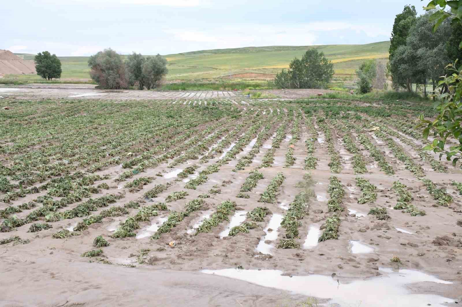 yozgatta siddetli yagis tarim arazilerini vurdu 3 POuJLdp2