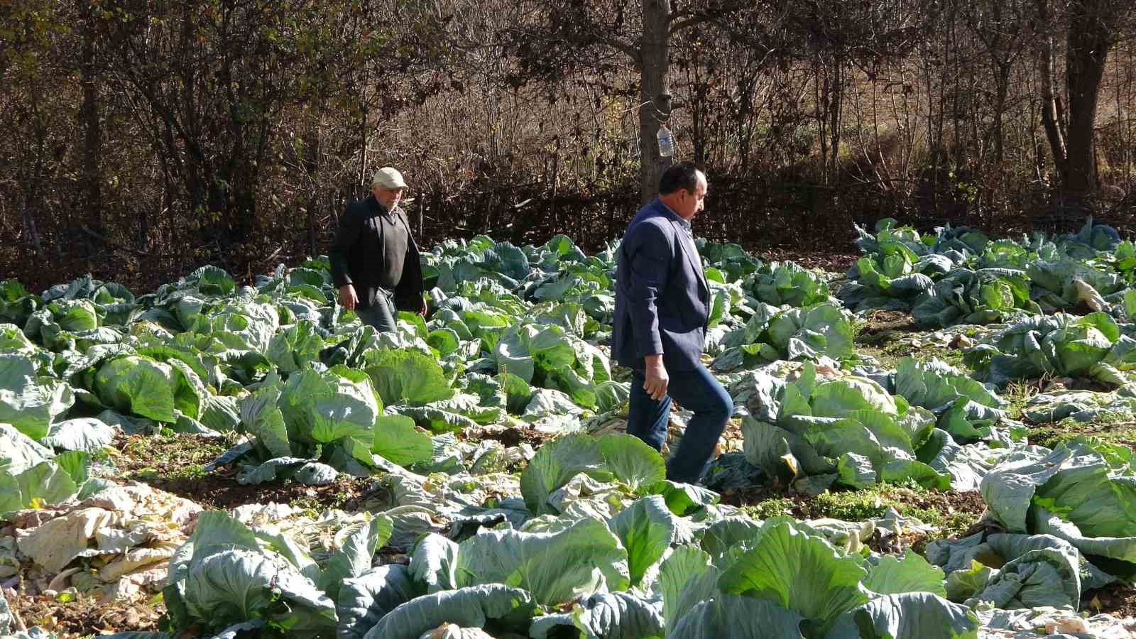 yozgattaki kardesler 60 yildir birbirinden ayrilmiyor 4 FNQN6KKP