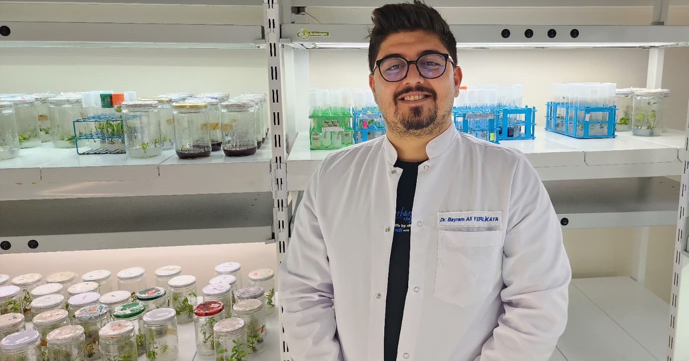 Yüksek antioksidan kapasiteye sahip yeni domates geliştirilecek 5 yuksek antioksidan kapasiteye sahip yeni domates gelistirilecek 1 K9BLA5eP