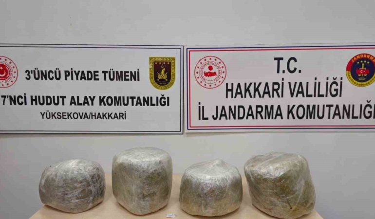 yuksekovada-11-kilo-skunk-ele-gecirildi-r3nTs7J2.jpg