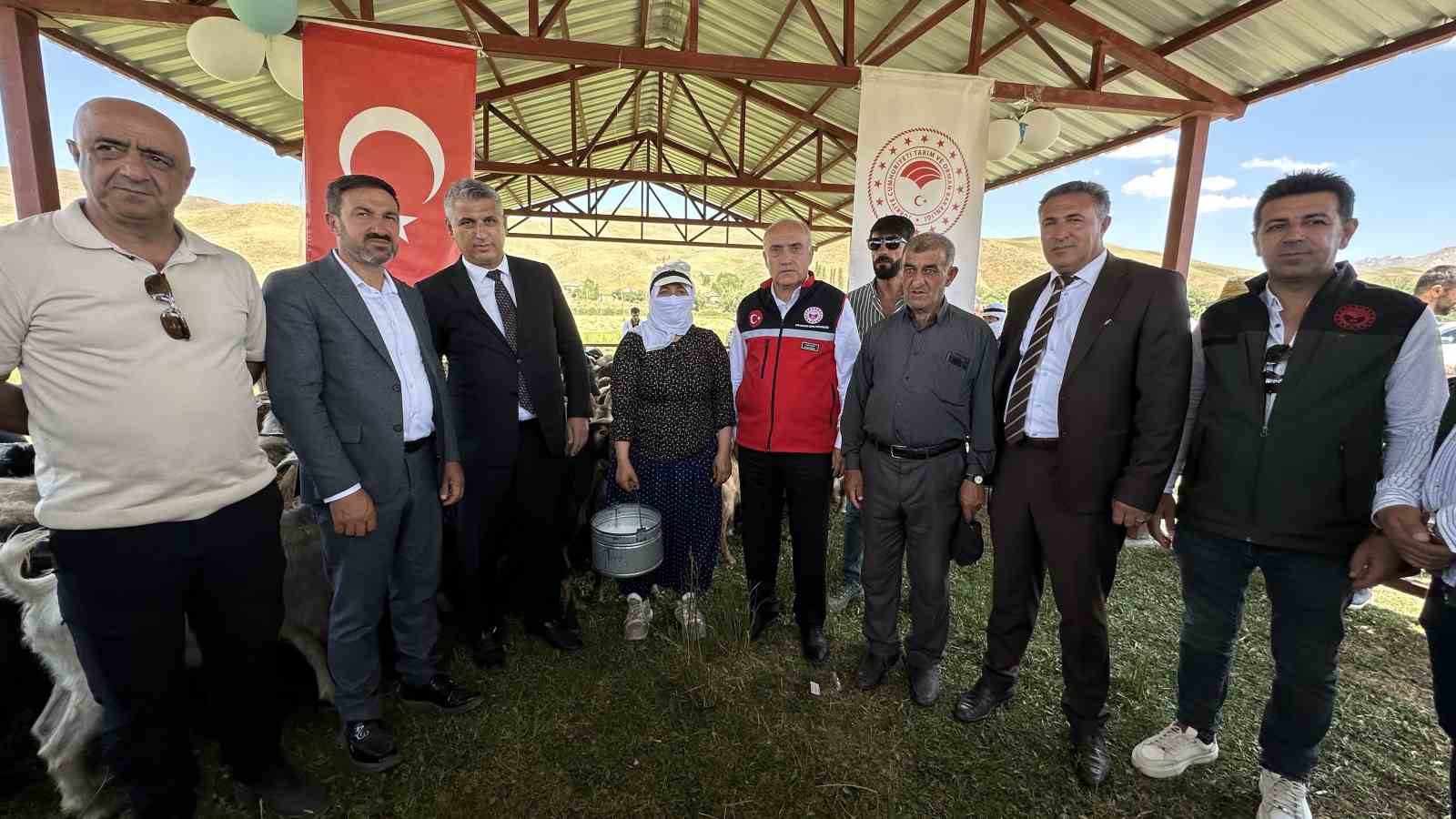 Yüksekova’da berivanlar gölgeliğe kavuştu 11 yuksekovada berivanlar golgelige kavustu 7 ylPRa1Qh