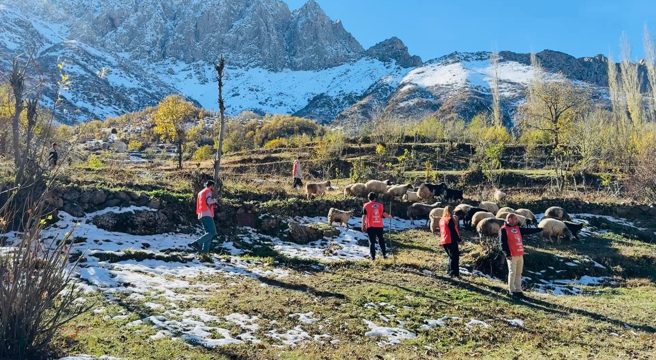 yuksekovada erozyonla mucadele icin fidan dikme etkinligi 4 er6LKTfW