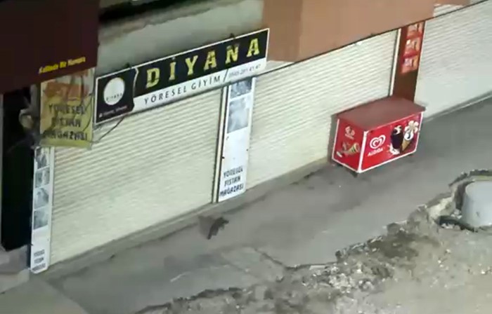 yuksekovada gece yarisi kameralara yakalandi gorenler gozlerine inanamadi 1 YFOTMzKJ