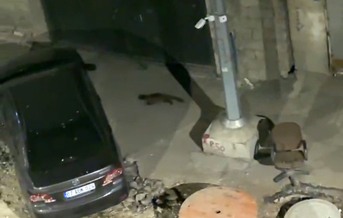 yuksekovada gece yarisi kameralara yakalandi gorenler gozlerine inanamadi 3 RvzpEdhq