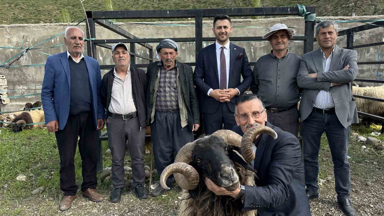 yuksekovada hayvan pazarinda bayram hareketliligi 9