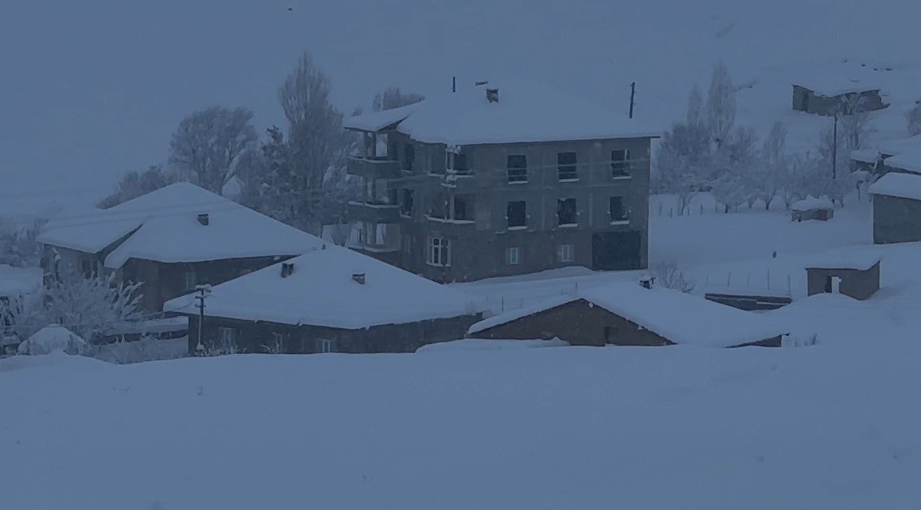 yuksekovada kar kalinligi 40 santimetreyi gecti araclar ve tek katli evler kara gomuldu 8 8sgS8PJ2
