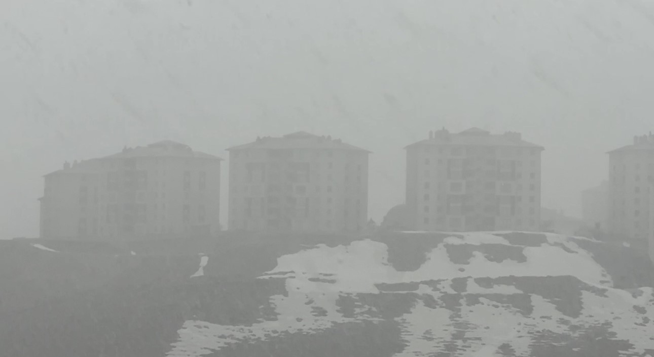 yuksekovada kar ve sis etkili oldu gorus mesafesi 20 metreye dustu 11 Br6fyF1t