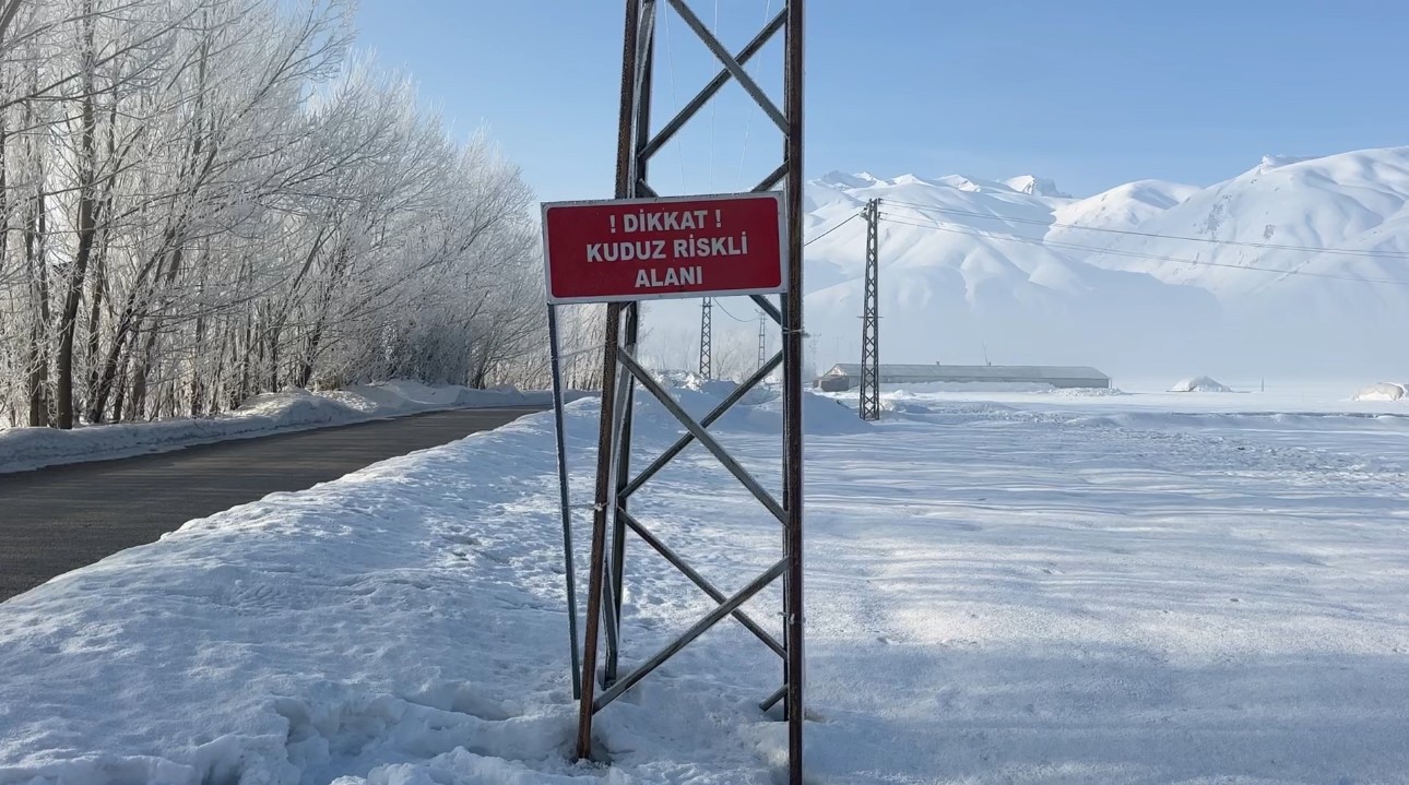 yuksekovada kuduz vakasi 4 9un1XYQY