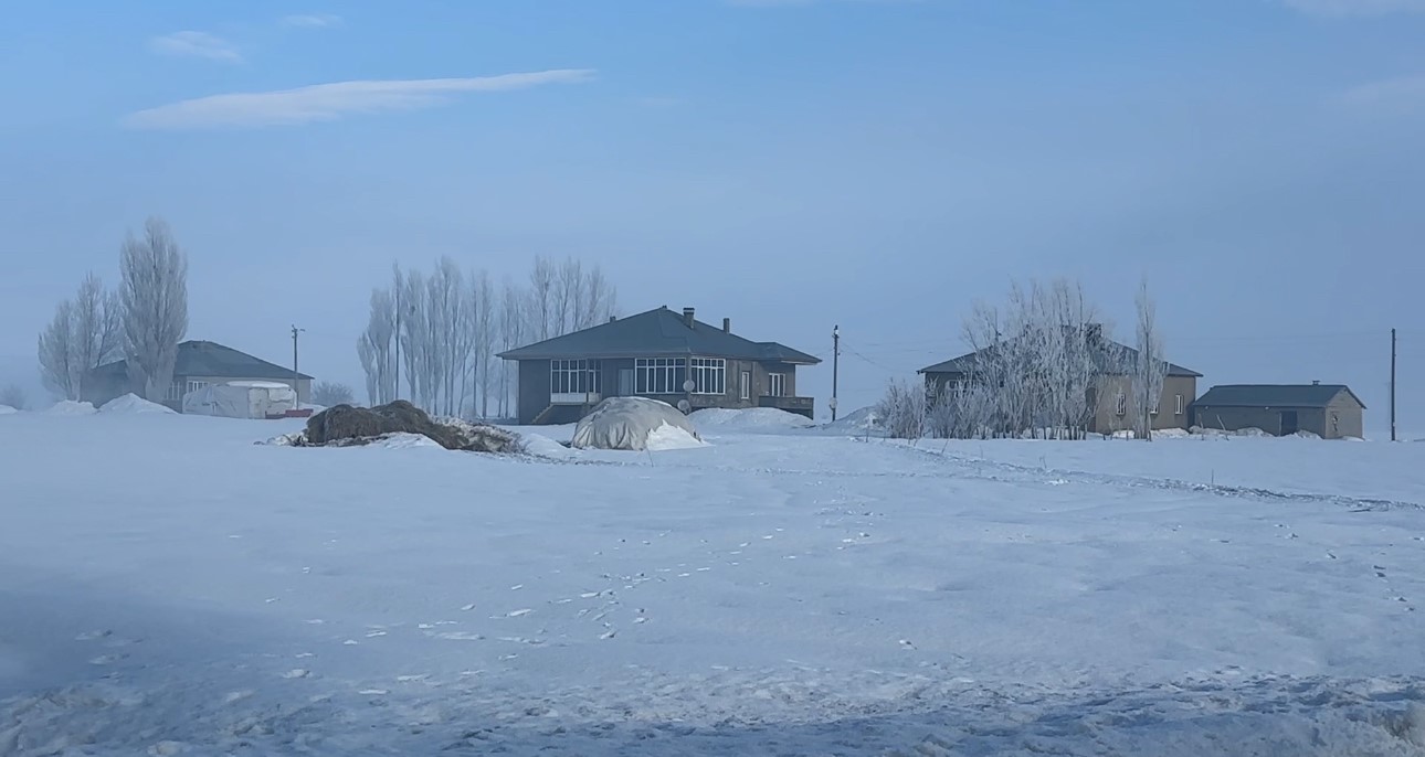 yuksekovada kuduz vakasi 7 ZnKtBEja