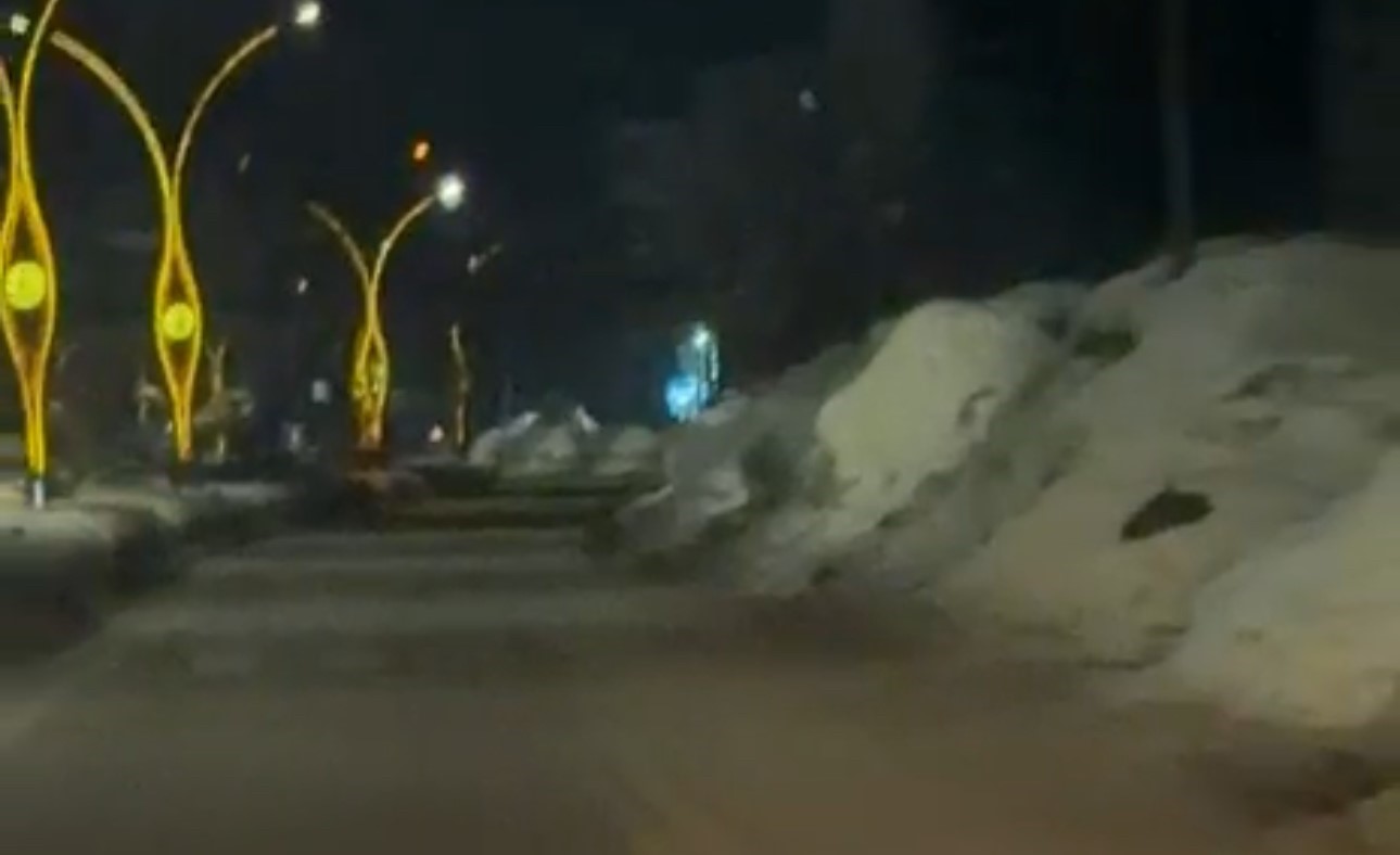 yuksekovada kurtlar sehir merkezine indi 1 S5Gu693j