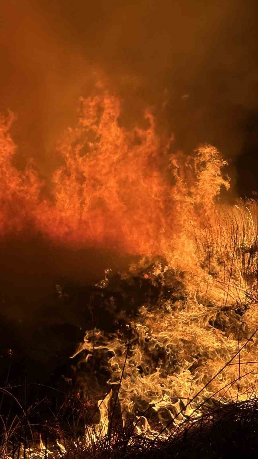 yuksekovada kus cenneti nehil sazligindaki yangin yerlesim yerlerini tehdit ediyor 28 4tcs2dql