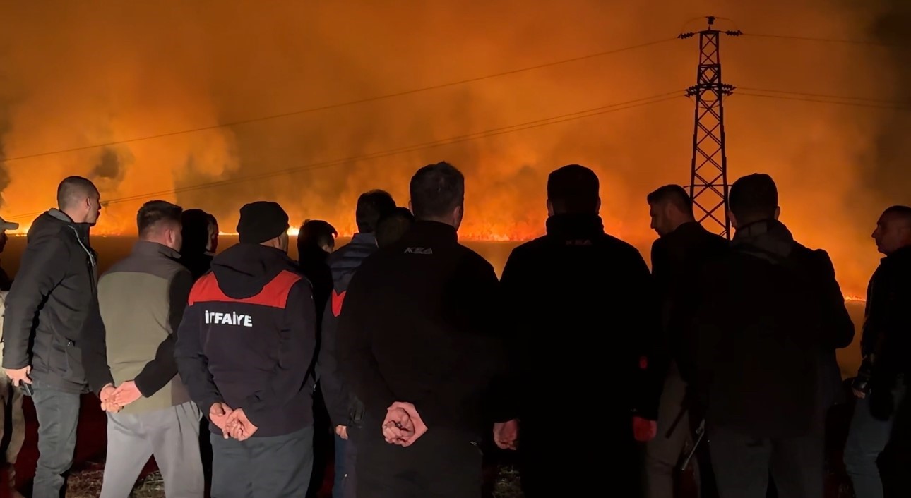 yuksekovada kus cenneti nehil sazligindaki yangin yerlesim yerlerini tehdit ediyor 4
