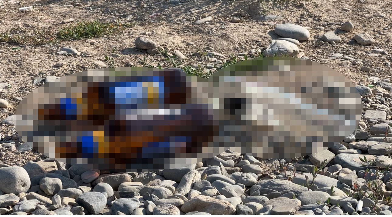 Yüksekova’da pes dedirten manzara: Mezarlığın yanı başındaki alkol şişeleri tepki çekti 7 yuksekovada pes dedirten manzara mezarligin yani basindaki alkol siseleri tepki cekti 3 1yav2Ces