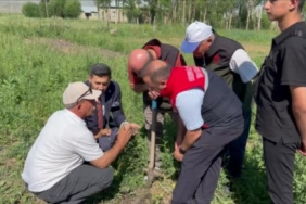 Fındığı bekleyen büyük tehlike 2 thumbnail