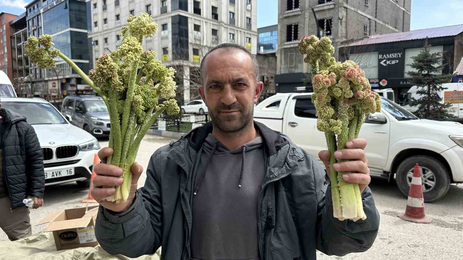 yuksekovada yayla muzu mesaisi basladi 1