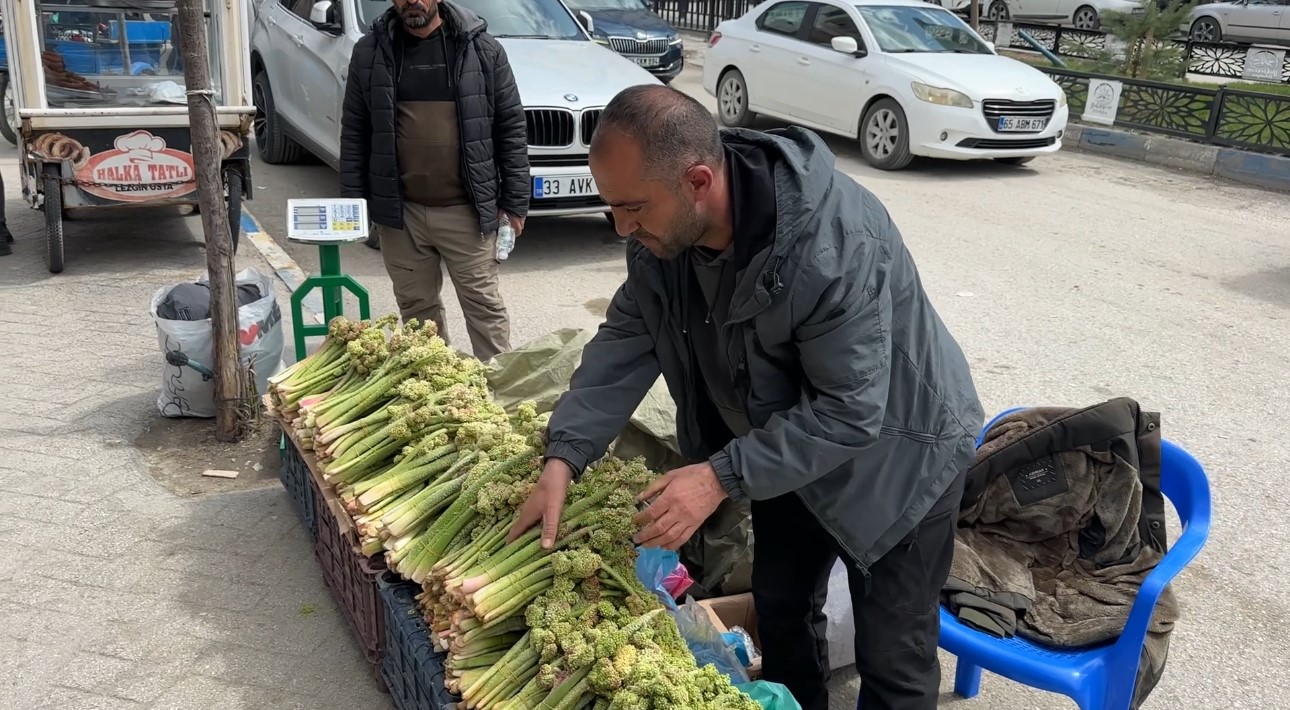 yuksekovada yayla muzu mesaisi basladi 10