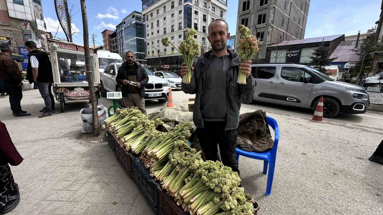 yuksekovada yayla muzu mesaisi basladi 2 YrBwBKV1