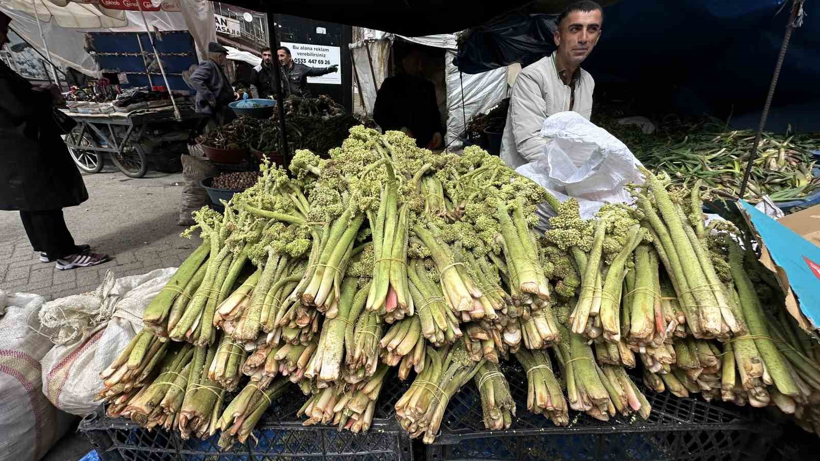 yuksekovada yayla muzu mesaisi basladi 3 s4edBCP1