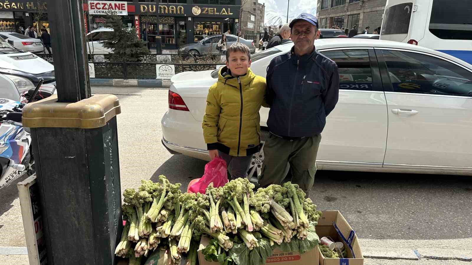yuksekovada yayla muzu mesaisi basladi 4 Oi4ZUJ7R