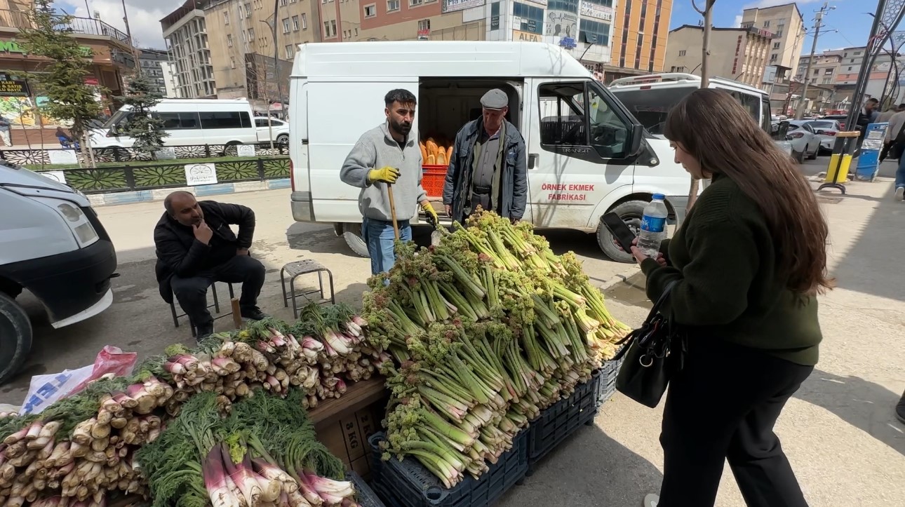 yuksekovada yayla muzu mesaisi basladi 5