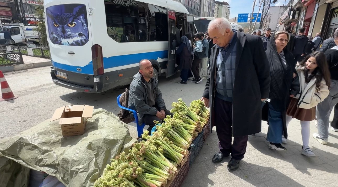 yuksekovada yayla muzu mesaisi basladi 9 7RhZDgfJ